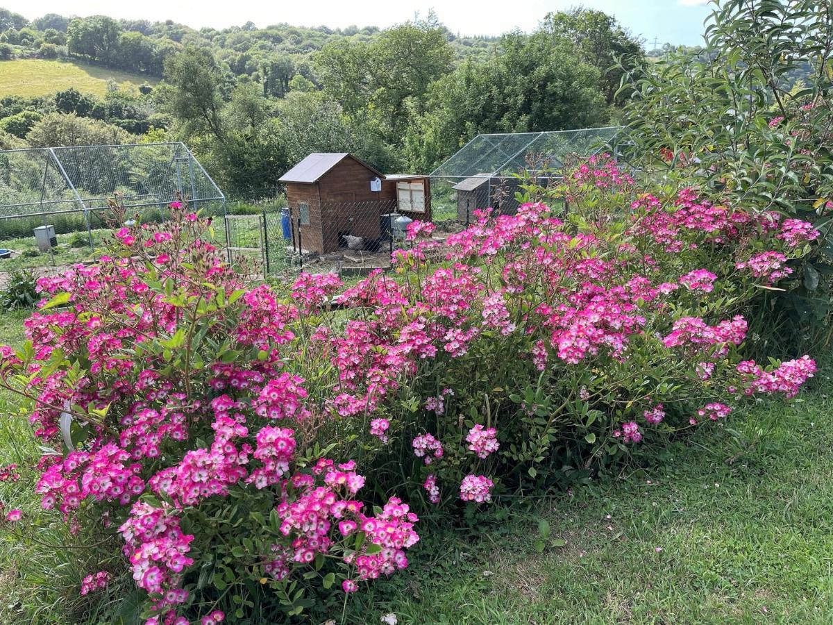 Keryanti Domaine De Lesleac'H Villa Le Ponthou ภายนอก รูปภาพ